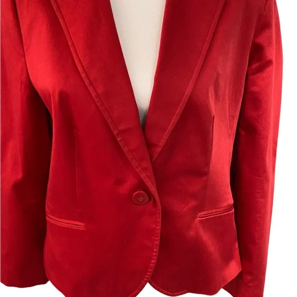 Zara Red Blazer - Picture 7 of 12
